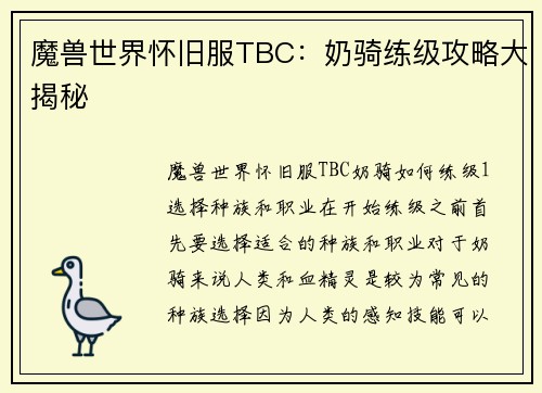 魔兽世界怀旧服TBC：奶骑练级攻略大揭秘